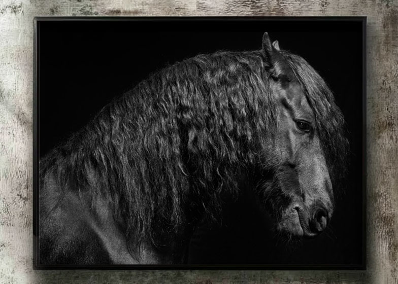 Blueberries - Remembrance