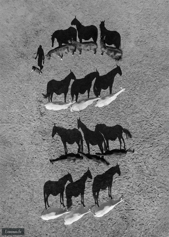 Heitz - Play of Shadows