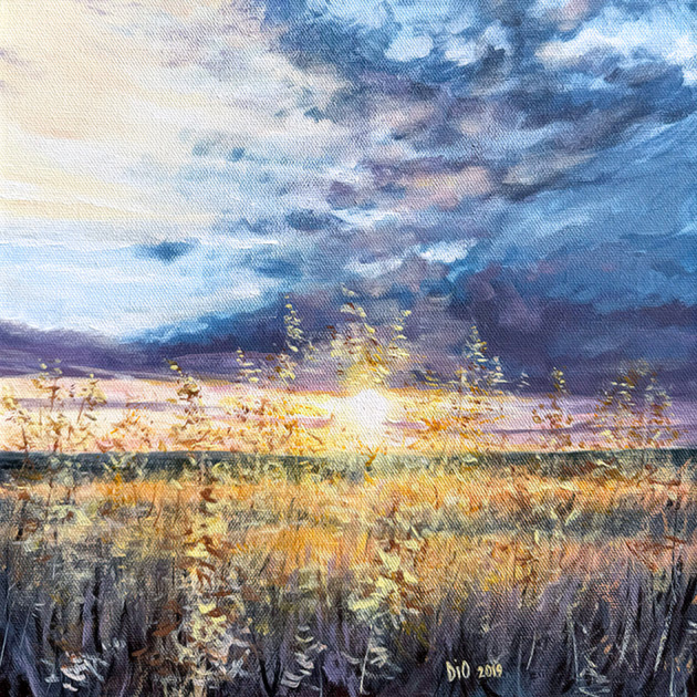 DIO - Sunset over the field
