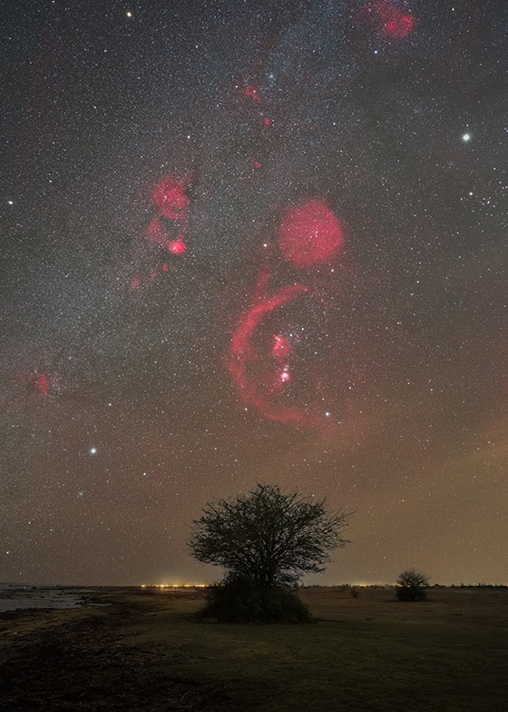 Holmstrom - Orion Seby