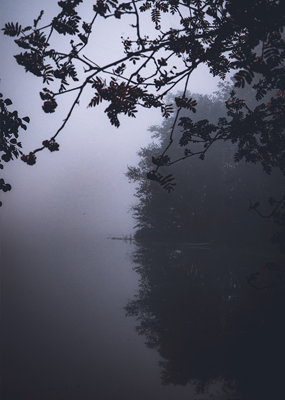 Vemodet - The fog looks like smoke