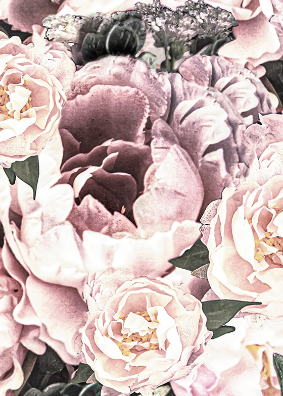 EvaSoderberg - Peonies and roses