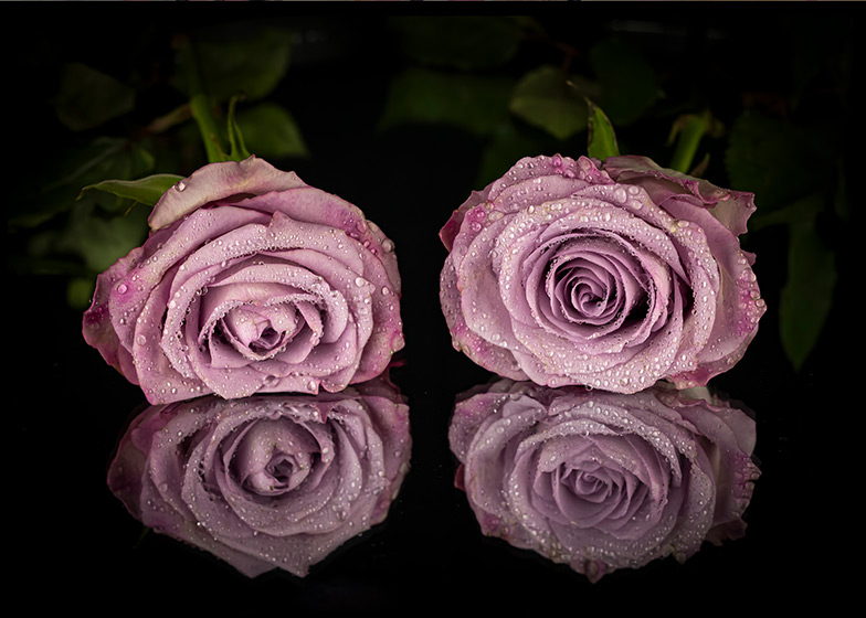 EvaSoderberg - Roses with drops